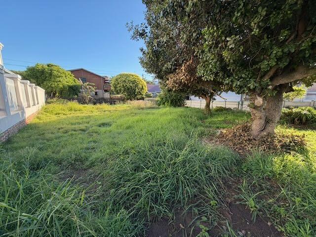 0 Bedroom Property for Sale in Tergniet Western Cape